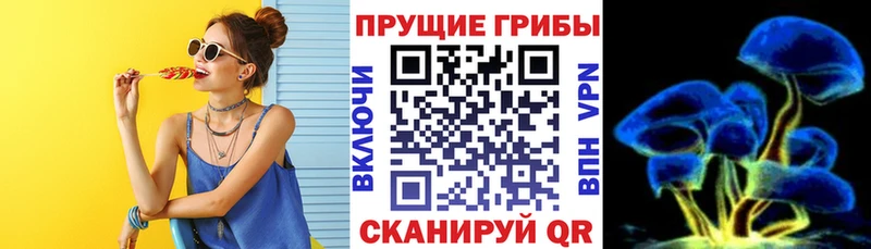 Купить закладки  Старица  Галлюциногенные грибы прущие грибы 