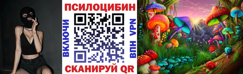 Псилоцибиновые грибы прущие грибы Старица