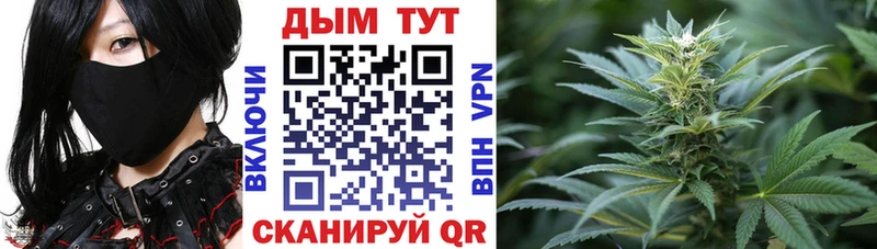 Конопля VHQ  Купить  Старица 
